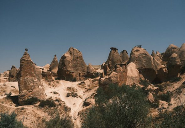 藍十字旅遊保險：保障您的每一次精彩旅程