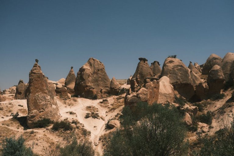 藍十字旅遊保險：保障您的每一次精彩旅程