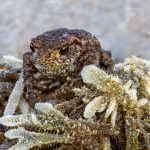 手拿包：時尚與實用兼具的完美配件