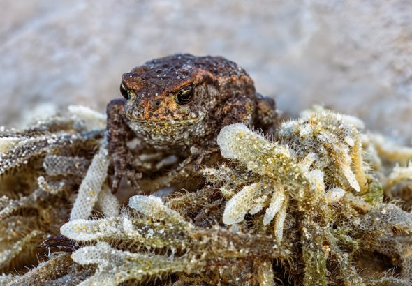 手拿包：時尚與實用兼具的完美配件