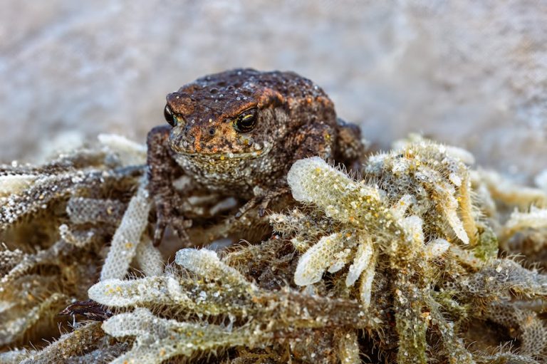 手拿包：時尚與實用兼具的完美配件