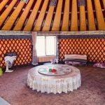 學樂器：從零開始的幽默冒險之旅